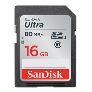 memory-cards - SDSDUNC-016G-GN6IN